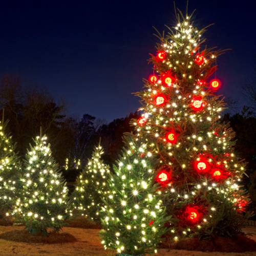 premier-christmas-light-installer Premier Christmas Light Installer