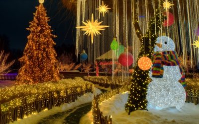 What Are Unique Themes for Outdoor Christmas Lights?