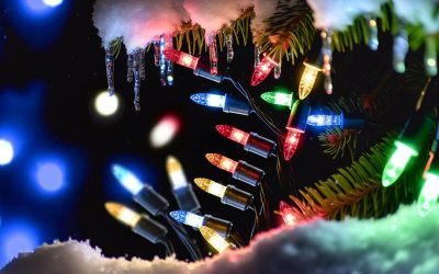 Why Choose LED Christmas Lights for Savings?